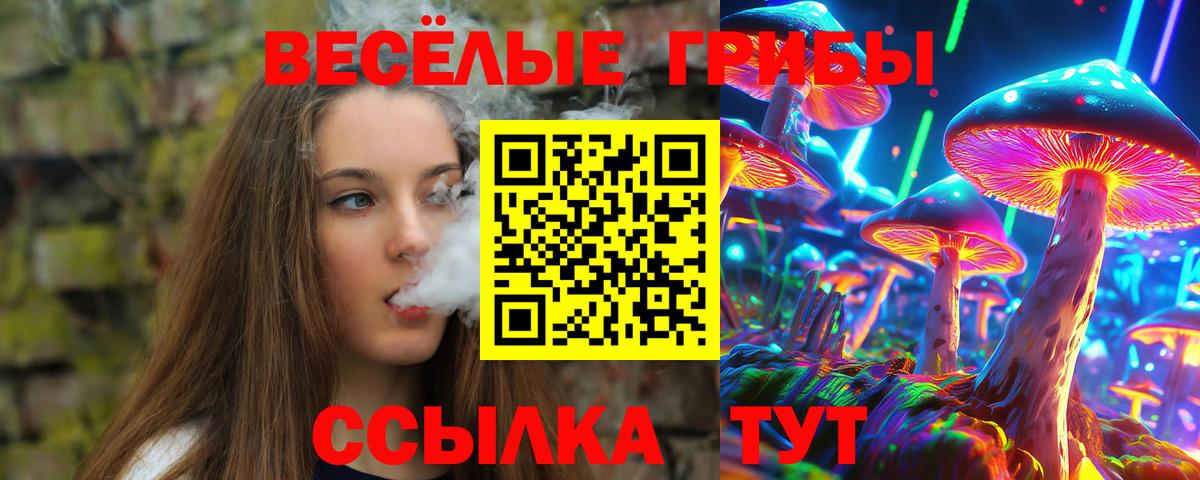 Псилоцибиновые грибы Magic Shrooms Среднеуральск